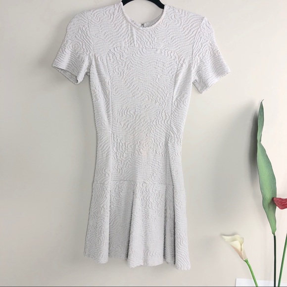OPENING CEREMONY Textured Light Gray Skater Dress - Picture 1 of 5